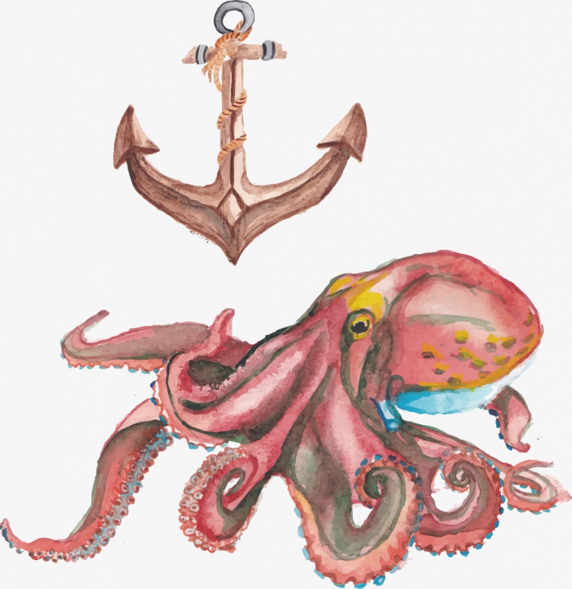 水彩绘章鱼和船锚