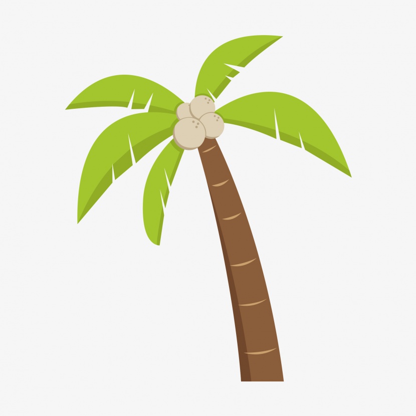 卡通海边椰子树
