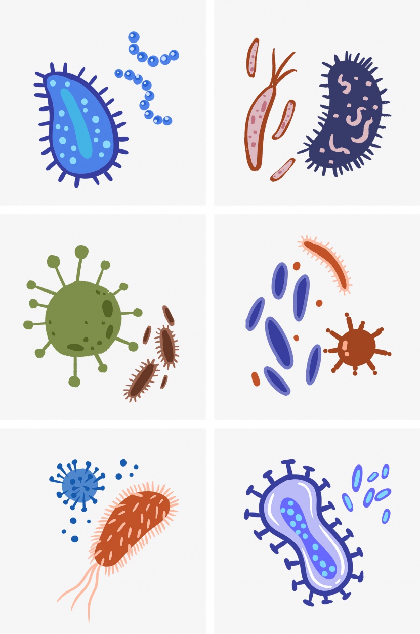 各种细胞细菌组图PNG免抠素材