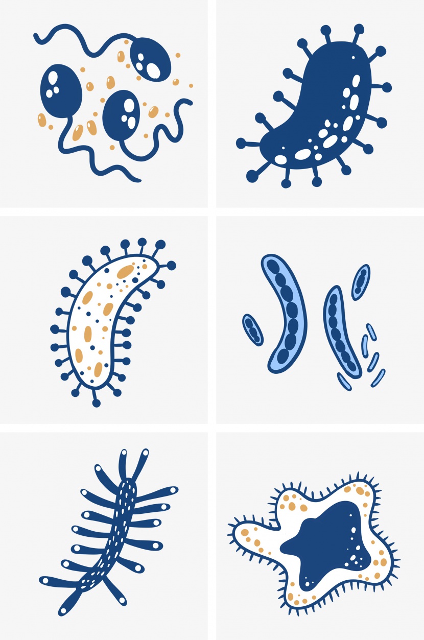各种细胞细菌组图PNG免抠素材
