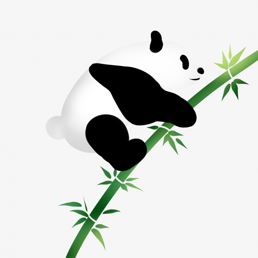 爬上竹子的熊猫