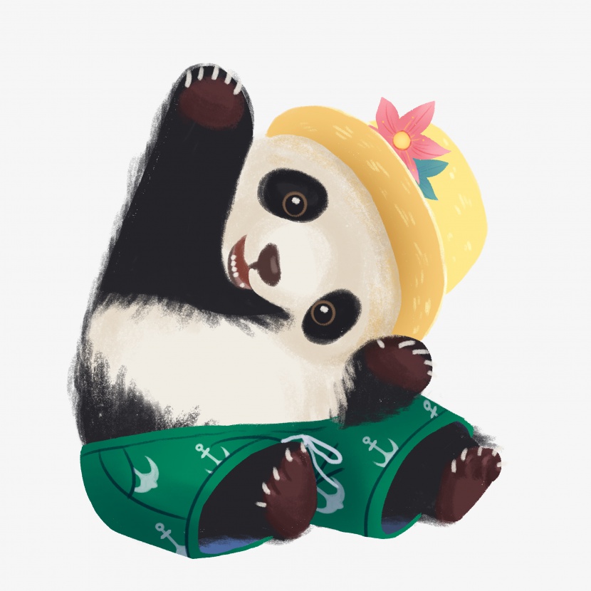 动物熊猫可爱国宝夏天