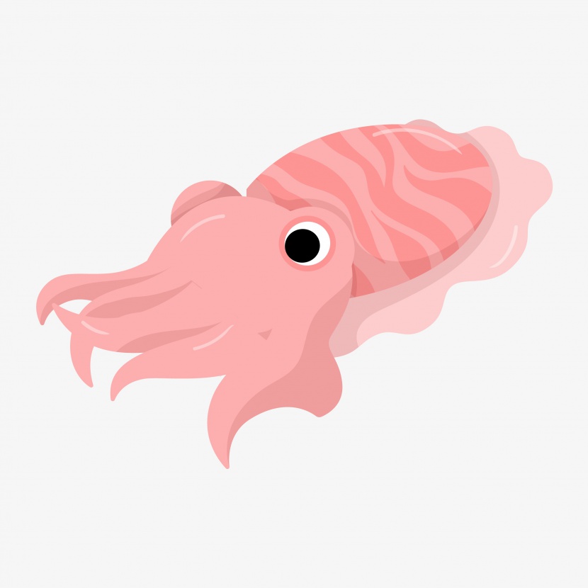 粉色章鱼