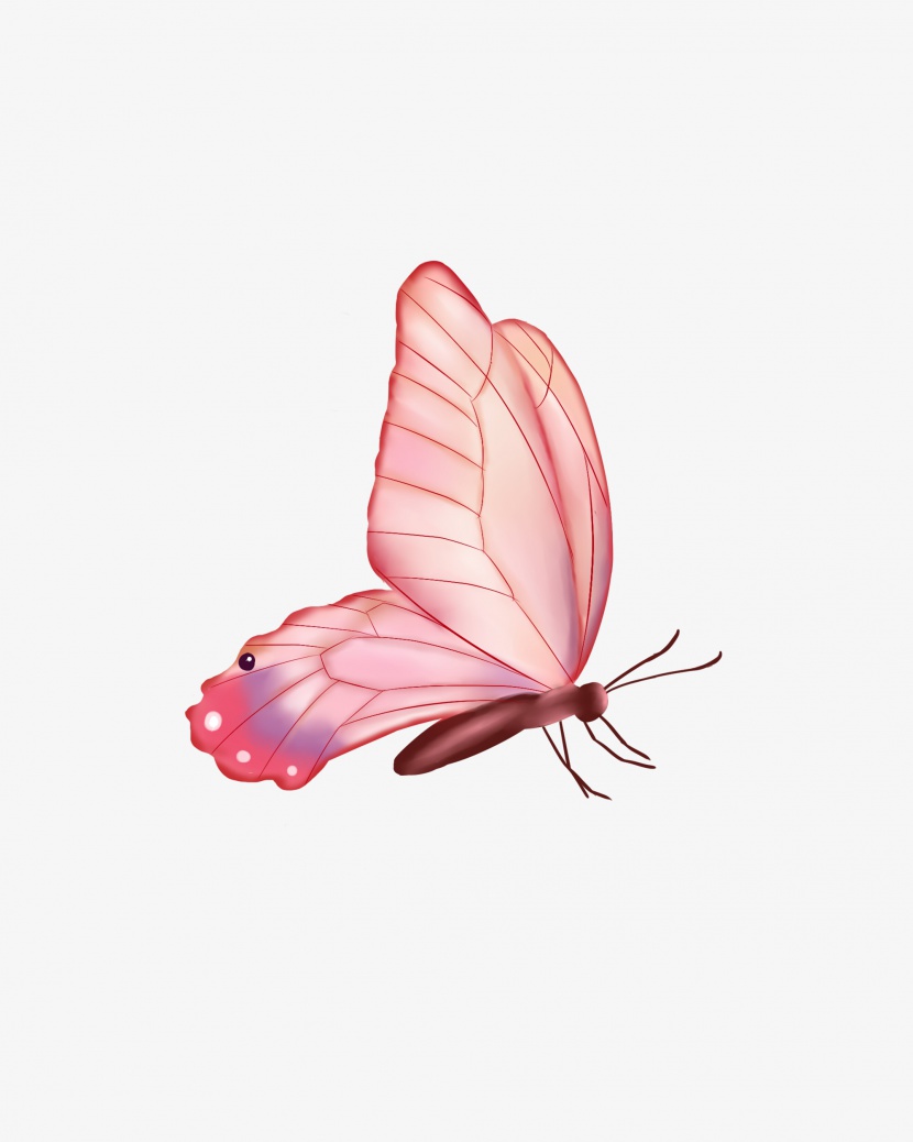 蝴蝶停在花上粉色手绘卡通写实