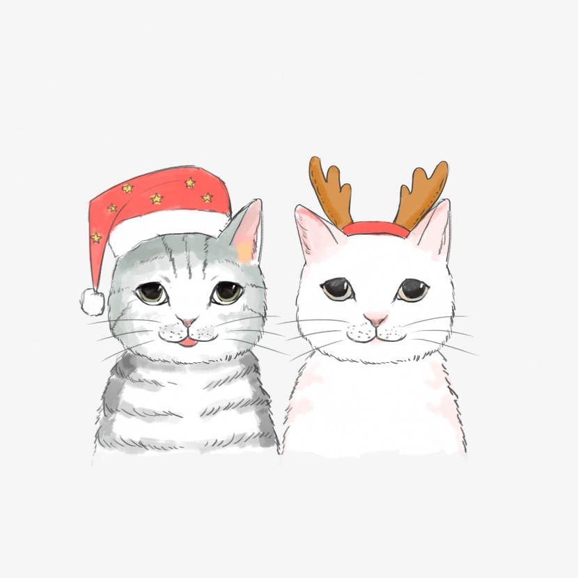 两只猫咪PNG卡通插画