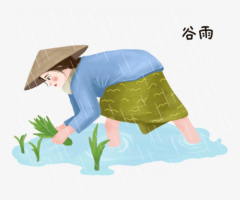谷雨插秧的农民插画