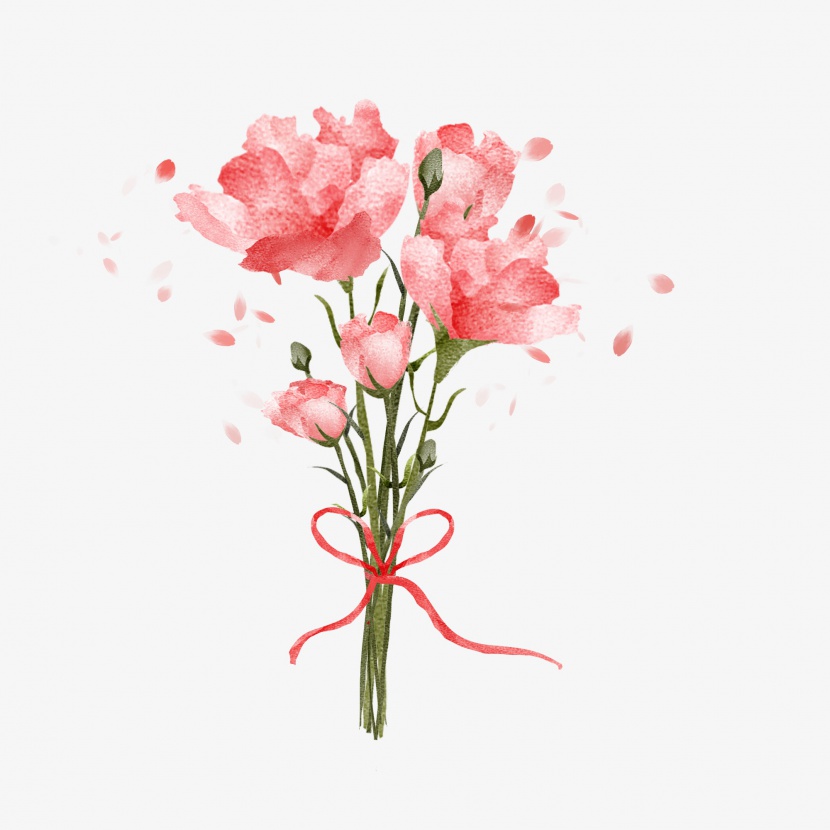 母亲节红色康乃馨花朵