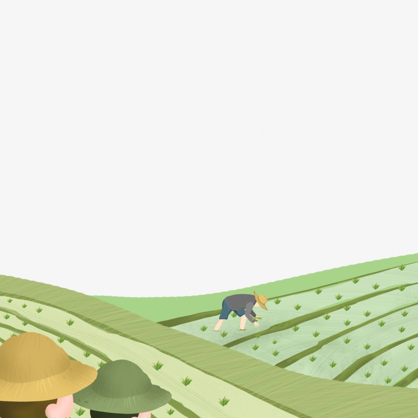 卡通绿色的稻田和植物