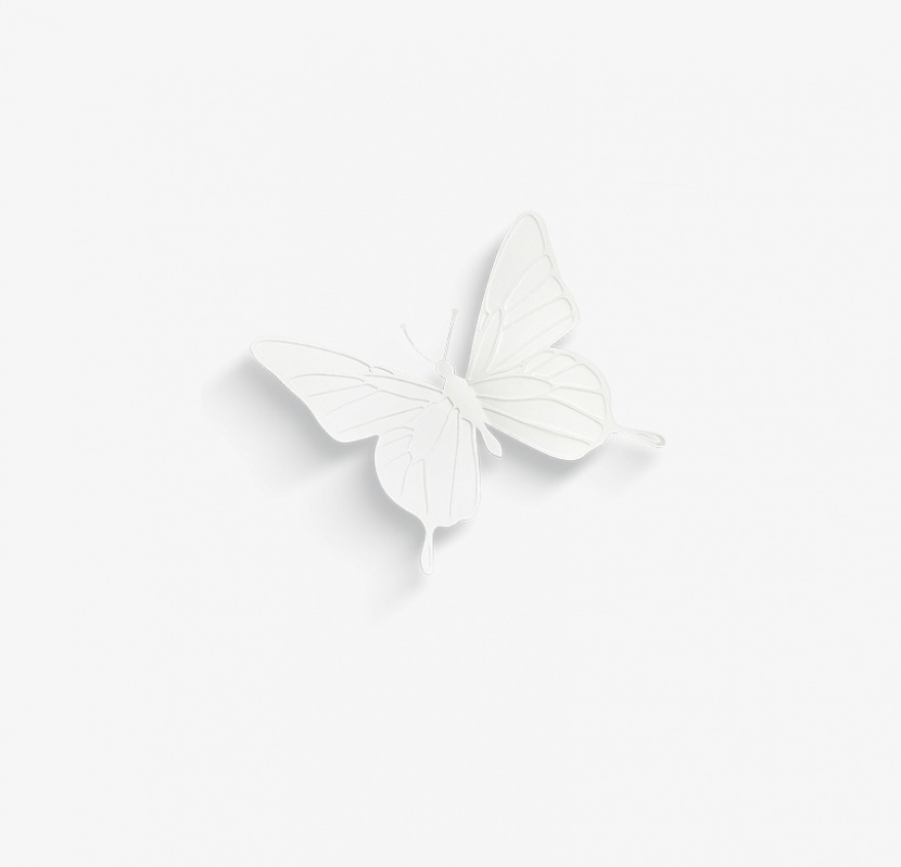 白色浮雕蝴蝶