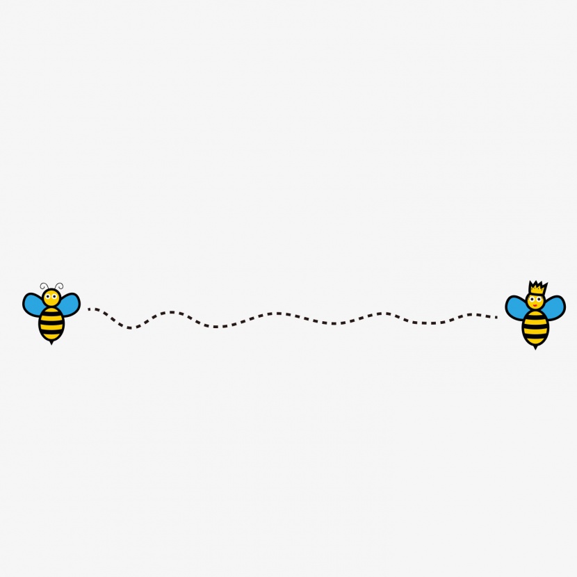 蜜蜂分割线
