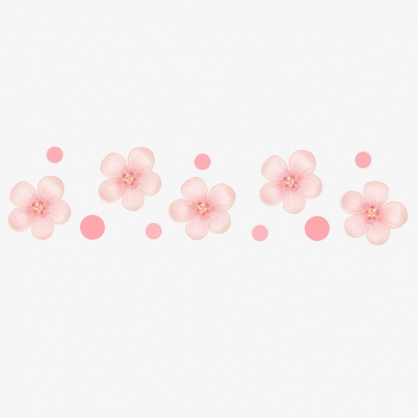樱花花朵分隔符