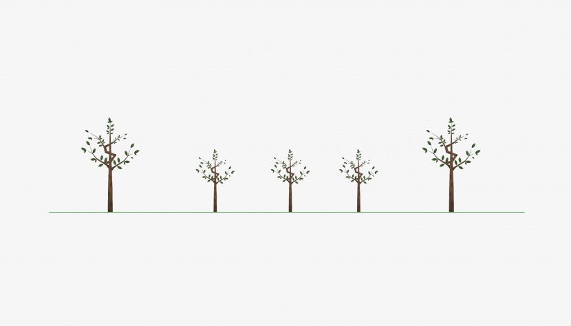 草坪小树分割线元素