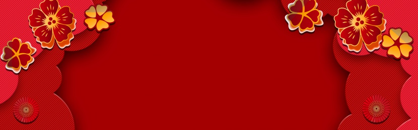 红色剪纸风格花卉装饰中年女装海报背景