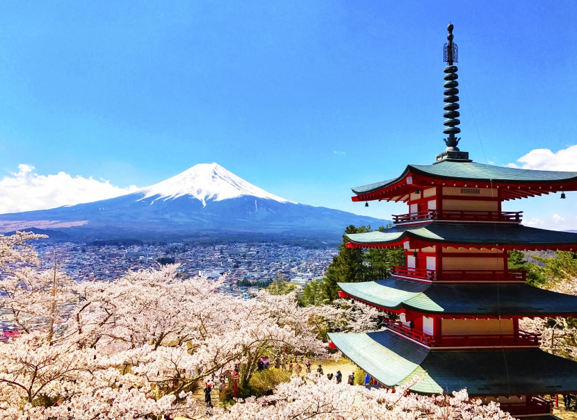 日本山顶积雪的富士山和高塔樱花