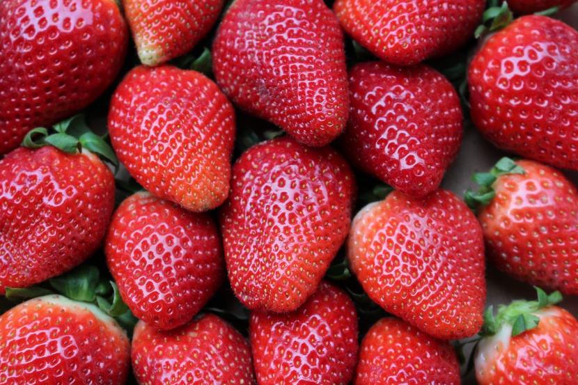 新鲜草莓水果素材图片